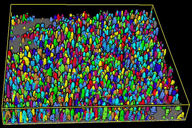 LiDAR360 ALS Forest