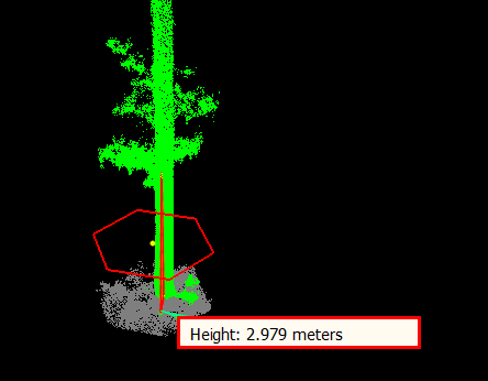 LiDAR360 TLS Forest