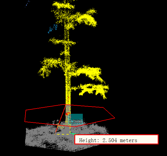 TLS seed point editor