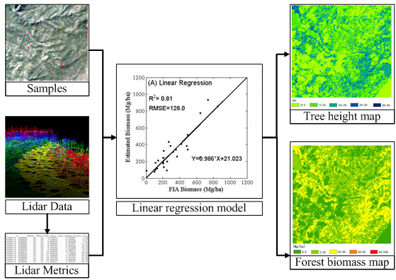 Linear Regression