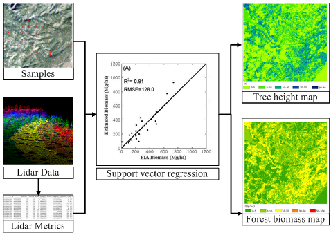 Support Vector Regression