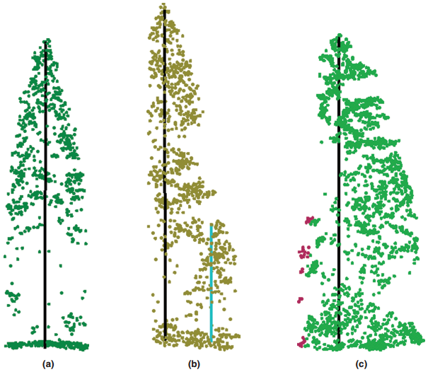 tree segmentation accuracy