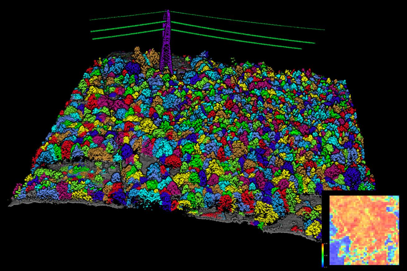 Unleash the Power of DJI L2 and LiDAR360 in Forestry Investigations